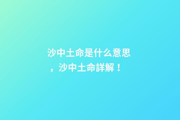 沙中土命是什么意思，沙中土命詳解！